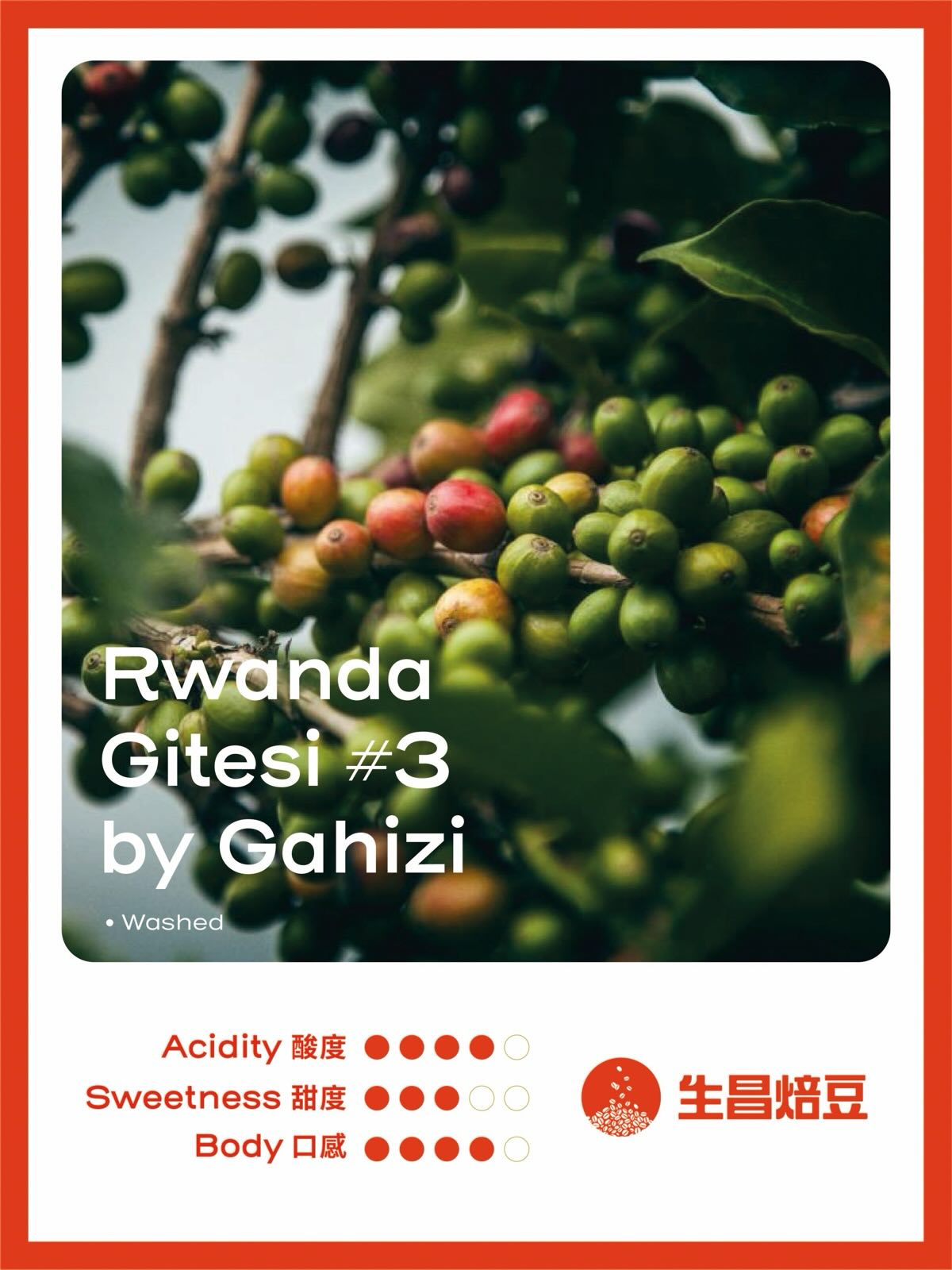 生昌焙豆 相片 5