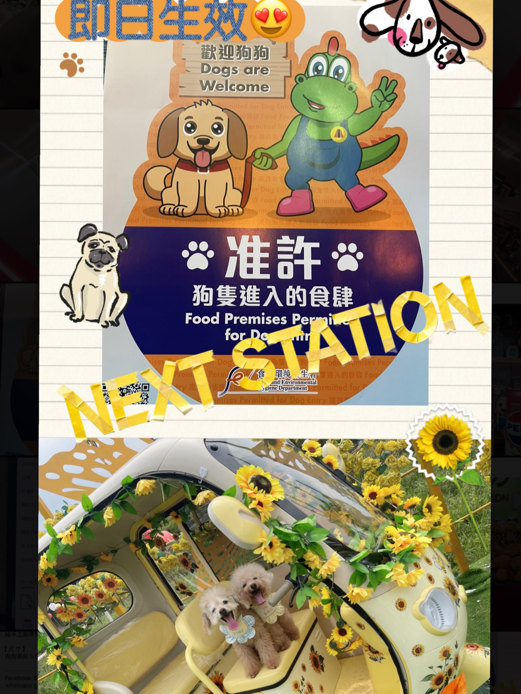 Next Station photo 6