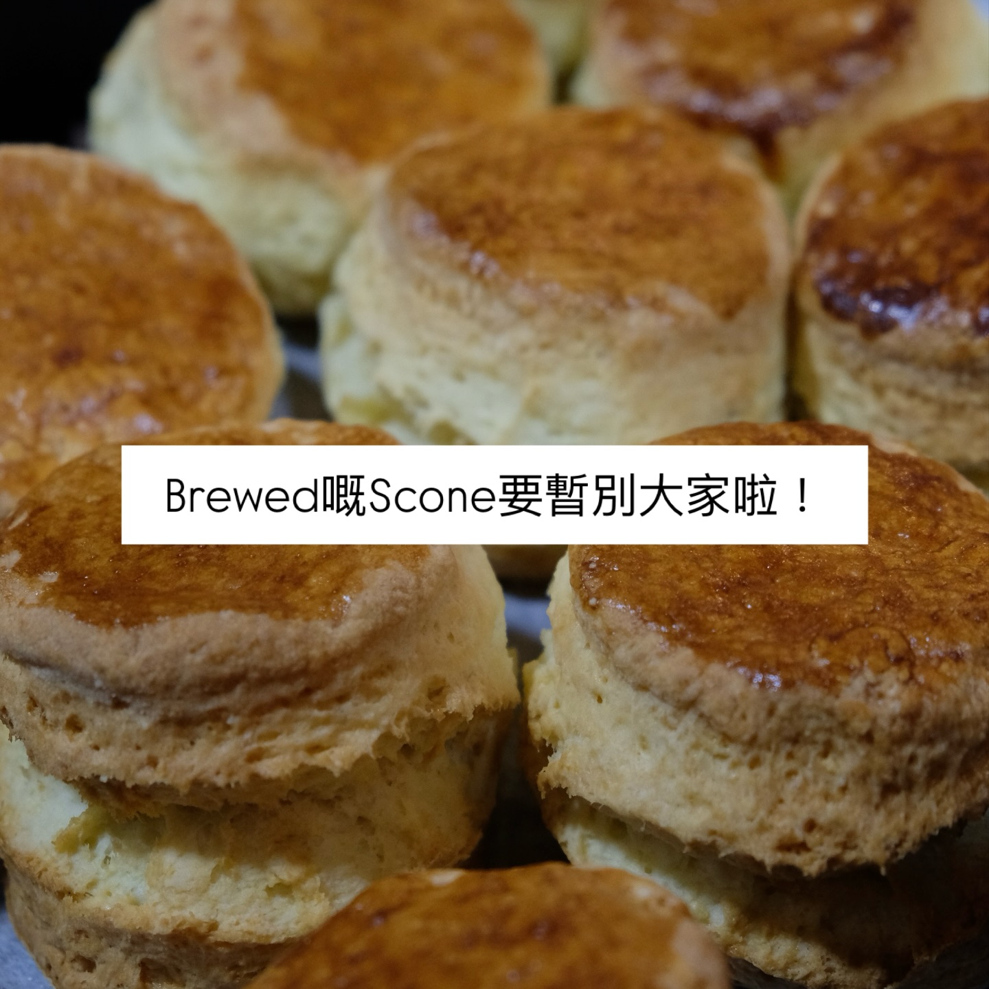 Brewed photo 4