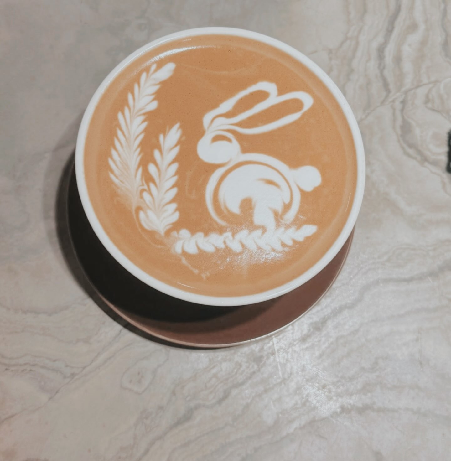 迷你毛 相片 1