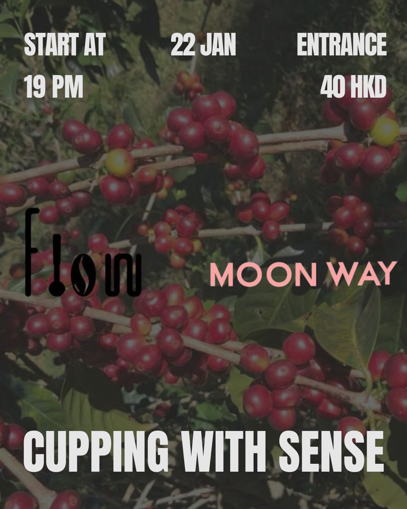Flow Coffee Bar photo 6