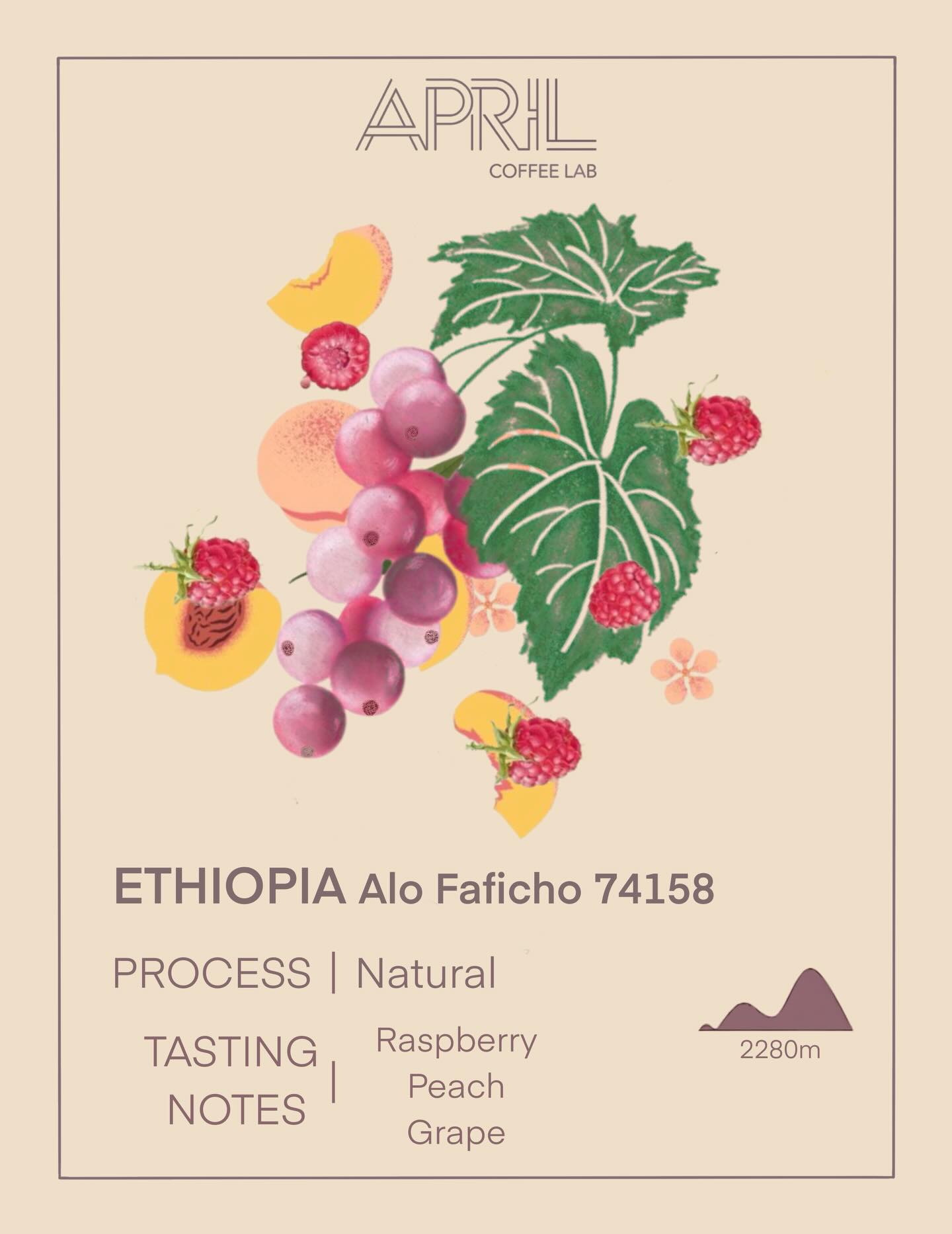 APRIL Coffee Lab 相片 5