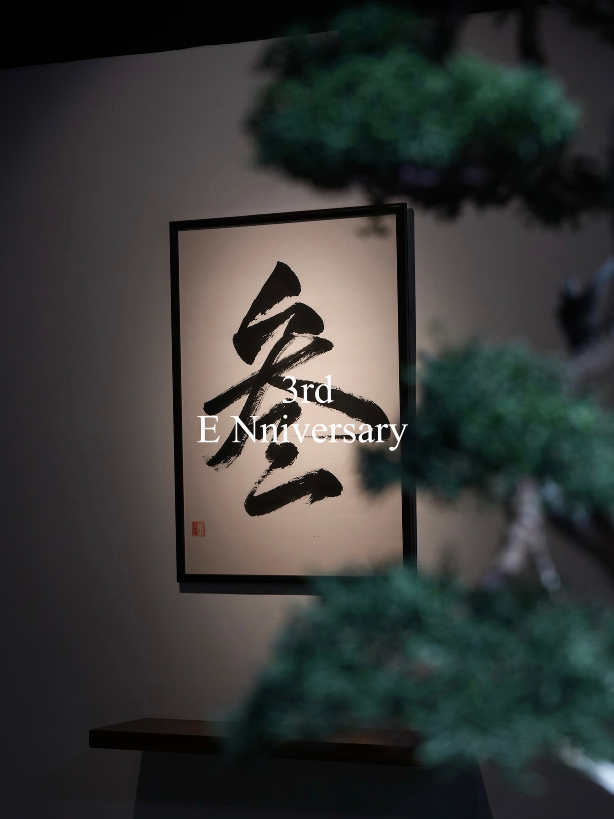 EN 相片 6