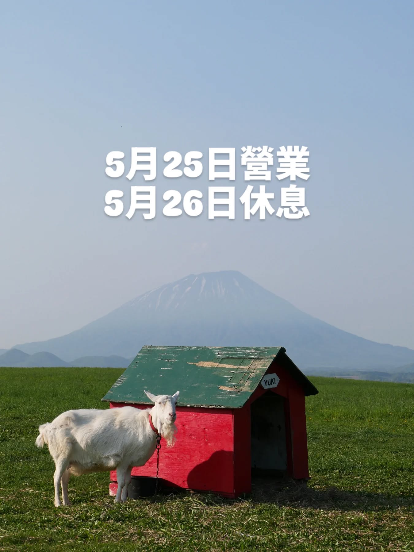 Find The Way photo 3