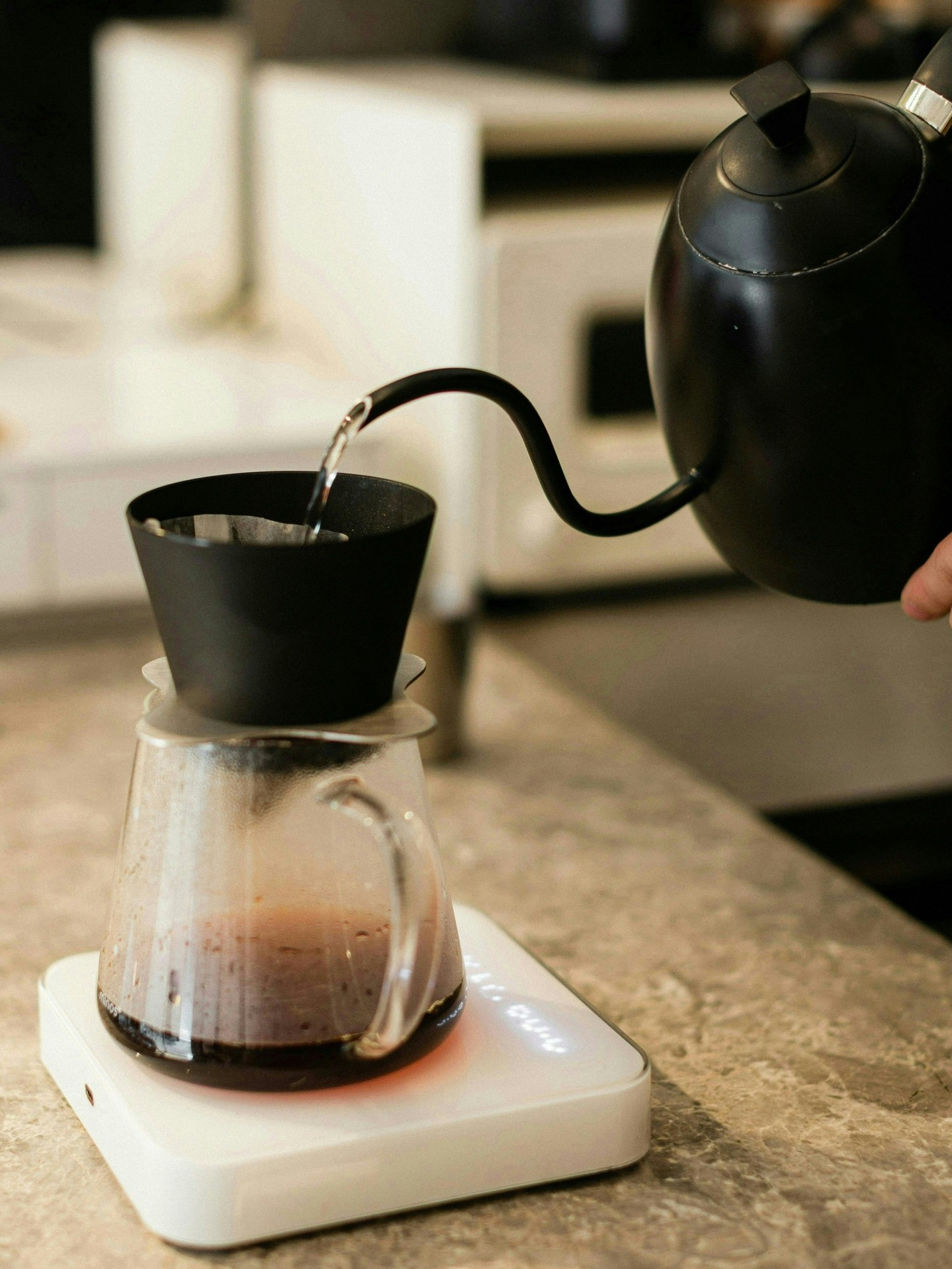 Introvert Coffee & Roastery 相片 5