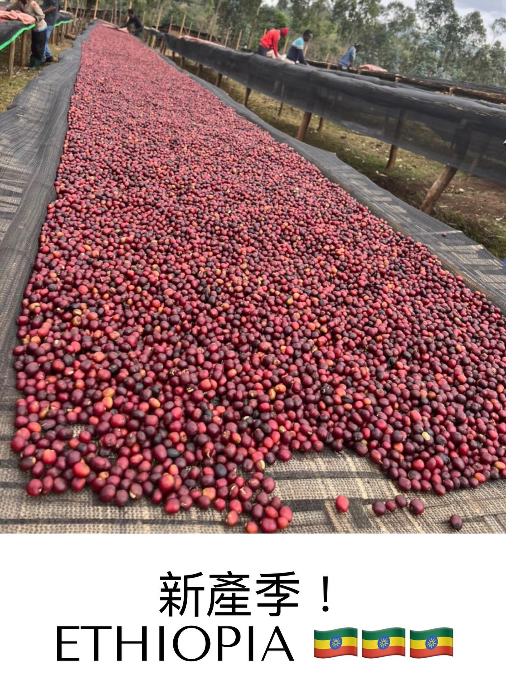 Kizuna Roaster & Co. 相片 5