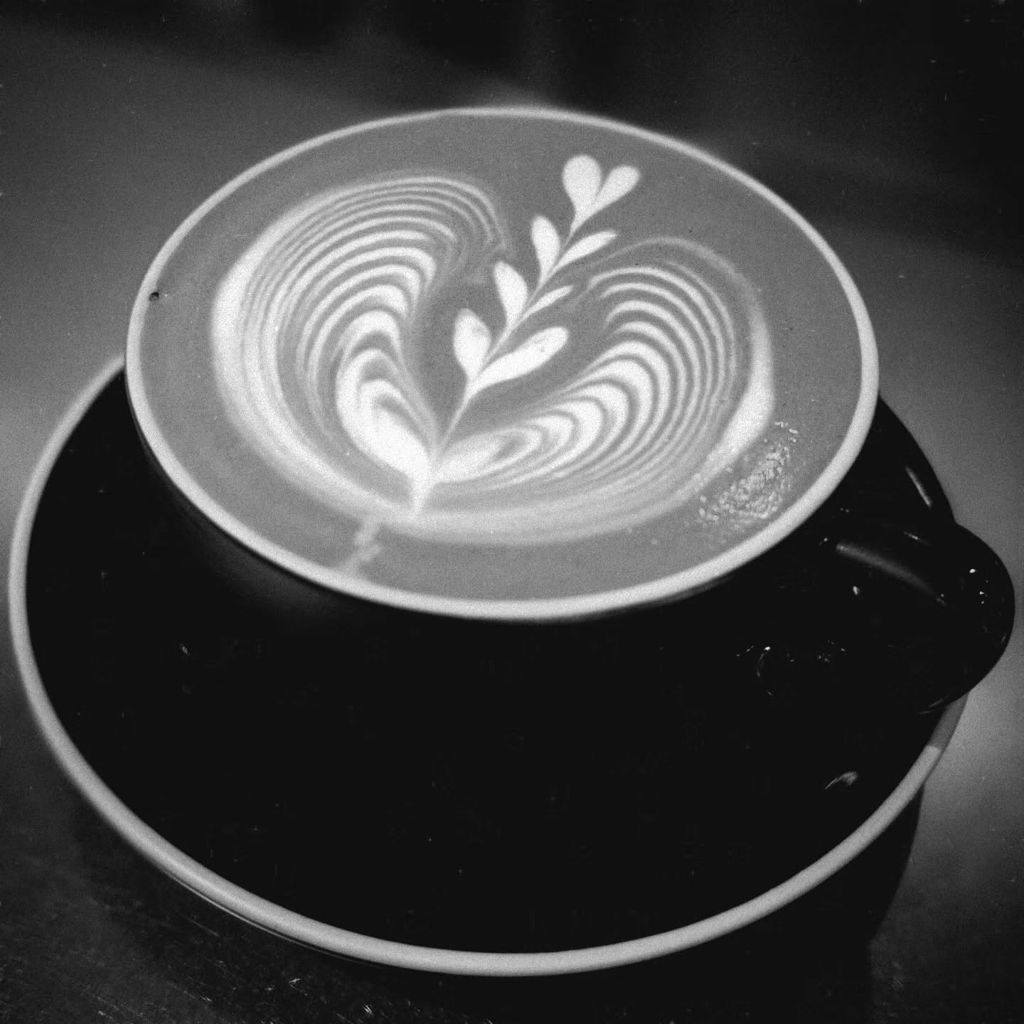 Black Cherry Coffee photo 1